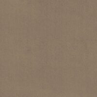Borax FR tulekindel mööblikangas, värv 05: 100% polüester, ühevärviline koe peene tasase pinnaga, laius 140 cm, 440 g/m², 100 000 Martindale’i tsüklit klass SC, valguskindlus 6-7, EN 1021 / IMO Part 8 / C&M sertifikaadid — raske kasutusega lepingumööblile.