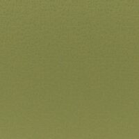Nickel FR tulekindel mööblikangas, värv 09: 100% polüester, ühevärviline koe tiheda šenill-ilmega harja-pinnaga, laius 140 cm, EN 1021 / IMO Part 8 / C&M / CRIB 5 (BS 5852) sertifikaadid — UK-spetsifikatsiooni hospitality-leping.