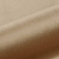 Teatro Dralon-blend upholstery fabric, colour 48: 60% Dralon (branded acrylic) / 40% polyester Uni weave with a lustrous dense velvet pile and soft sheen, 140 cm wide, 430 g/m², 50 000 Martindale rubs class SC, light fastness 6-7 — premium velvet in 65 colours.